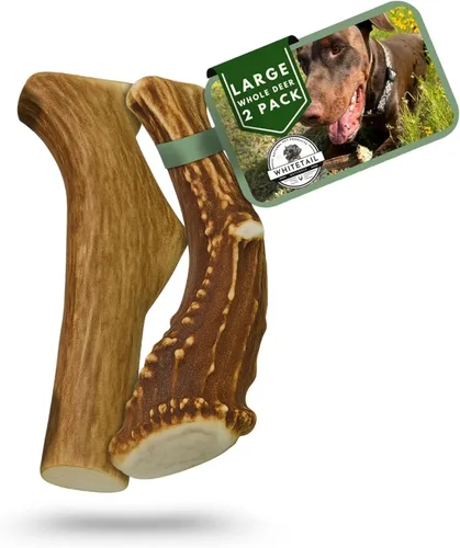 Miniatura 13 de Whitetail Naturals - Paquete de 3 masticables medianos para perros con cuernos de ciervo - Cuernos para perros medianos - Huesos de perro