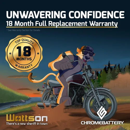 Miniatura 4 de Batería de motocicleta YTX5L-BS de alto rendimiento, libre de mantenimiento, sellada con AGM