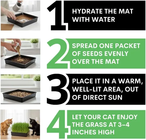 Miniatura 5 de Kit de cultivo de hierba para gatos, semillas orgánicas, tapetes de cultivo de yute, contenedor de cultivo de 10 x 10 pulgadas, ideal para gatos