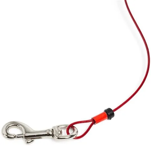 Miniatura 3 de EveryYay por Petco Stretch Your Legs Heavy Retractable Tie Out para perros de hasta 100 libras. 15 pies