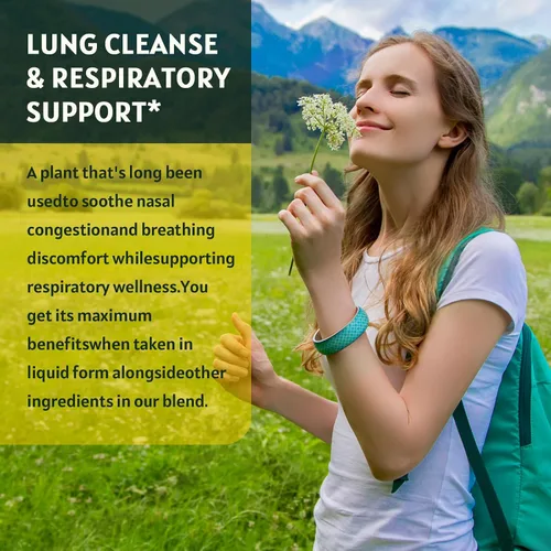 Miniatura 5 de GORNVB Paquete de 2 gotas de gordolobo para pulmones – Limpieza de pulmones y apoyo respiratorio, potente extracto de hoja de gordolobo 4 en 1