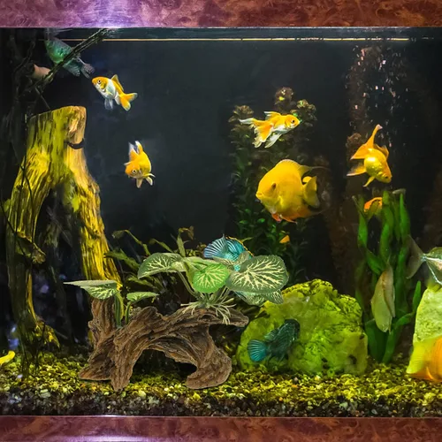 Miniatura 8 de Ipetboom Plantas de acuario, decoraciones de pecera, rama de esquina de reptil, rama de árbol trepador de resina con hojas, decoración de tanque