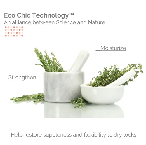 Miniatura 3 de GIOVANNI ECO CHIC 50:50 Champú aclarante hidratante equilibrado – Deja el cabello equilibrado para cabello sobreprocesado, proporciona humedad