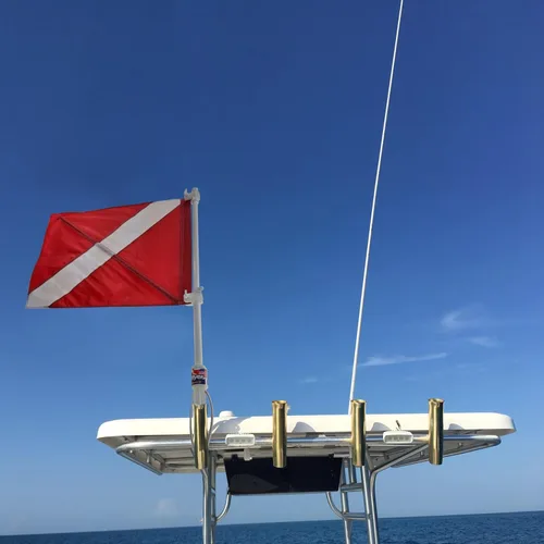 SPEARFISHING WORLD Bandera de buceo con poste para barco T - Top y soporte de caña de seguridad para buceo pesca submarina buceo apnea y esnórquel