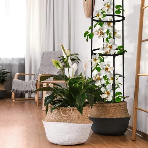 Miniatura 7 de Enrejado de obelisco de jardín para plantas trepadoras al aire libre, 6 pies, rosal, enrejado redondo para macetas, enrejado de flores de metal a