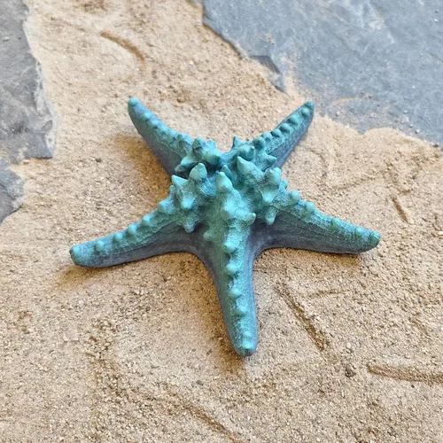 Miniatura 3 de Centro de mesa azul decorativo de estrella de mar, artesanía de estrellas de mar reales, resina hecha a mano, estrella de mar de mar estilo playa