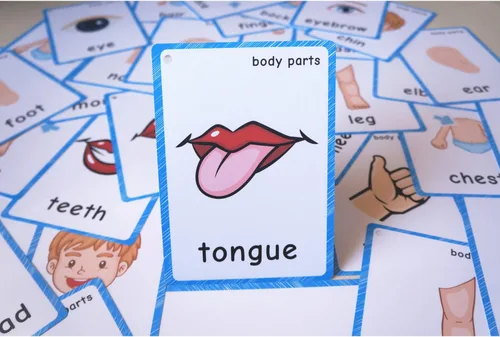 Miniatura 2 de SANTSUN 36 piezas de tarjetas flash My Body Parts para niños pequeños, con agujeros perforados, para que puedas ordenar y organizar las tarjetas