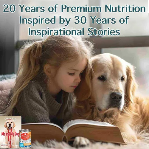 Miniatura 7 de Chicken Soup for The Soul All Natural Premium - Alimento húmedo para perros adultos, primer ingrediente de carne real, sin subproductos, pollo