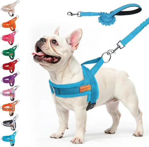 Miniatura 27 de BEAUTYZOO Arnés para Perros Pequeños, Juego de Arnés y Correa sin Tirones, Arnés de Chaleco para Cachorros Suave a Prueba de Escapes con Manija