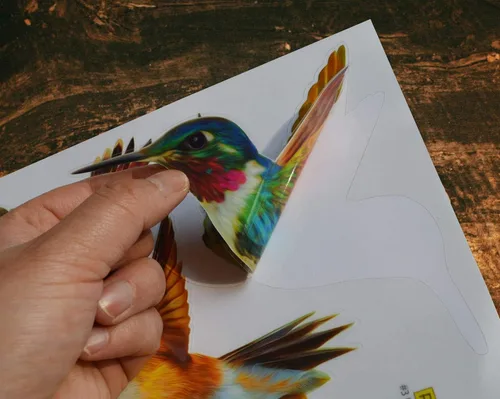 Miniatura 5 de Calcomanías anticolisión para ventana de alerta de pájaros, para evitar golpes de pájaros en el cristal de la ventana, juego de 12 colibríes