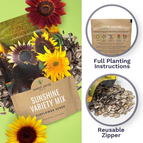 Miniatura 5 de Semillas de girasol a granel, variedad de 10 tipos de hermosos girasoles, bolsa de 1/4 de libra, semillas de girasol polinizadas abiertas