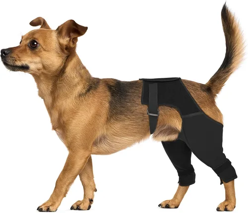 Manga de recuperación para perro, pierna trasera para dejar de lamer, cómodos pantalones de pierna trasera para heridas ACL TPLO después de la