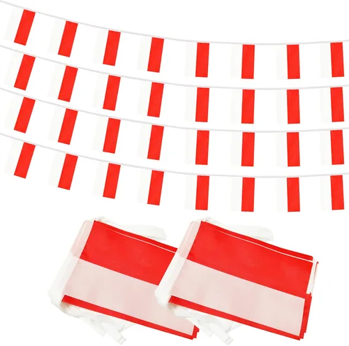 Miniatura 26 de Bandera de Cuerda Argentina de 100 Pies, 76 Piezas Bandera Estandarte Argentina, Pequeñas Mini Banderas del Mundo para Eventos Deportivos