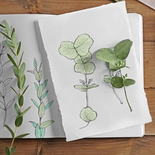 Miniatura 5 de 30 hojas de papel de acuarela, papel de algodón texturizado grueso de 300 GSM, papel hecho a mano con bordes deckled de 4 x 6 pulgadas