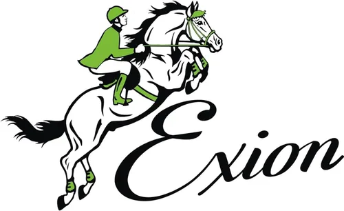 Miniatura 9 de Exion - Brida brillante en banda para la ceja y banda nasal con suave acolchado de cuero azul bebé brida de salto y rienda de goma Brida inglesa