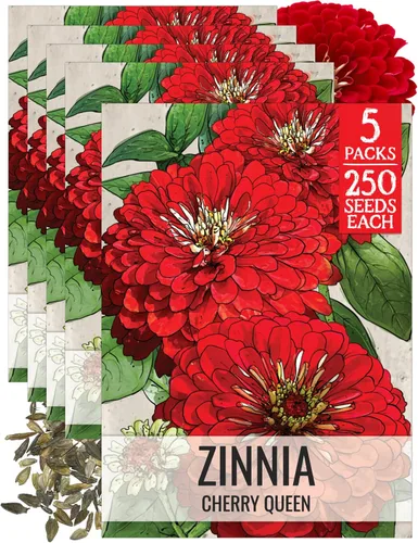 Miniatura 14 de Seed Needs California Giants - Semillas de zinnia – 250 semillas tradicionales para plantar Zinnia elegans – Cultiva flores anuales polinizadas
