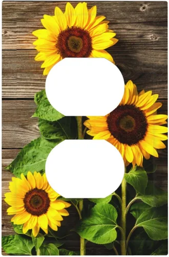 Miniatura 14 de Placa de receptáculo para interruptor basculante de una sola banda, 1 banda Decora GFCI Starry Night Painting Placa decorativa de pared