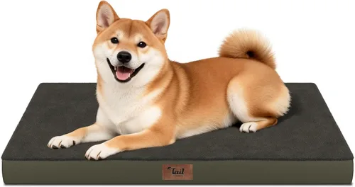Miniatura 119 de Cama ortopédica de felpa para perros y cachorros medianos, camas impermeables para perros de 30 x 20 pulgadas con funda extraíble lavable, tapete