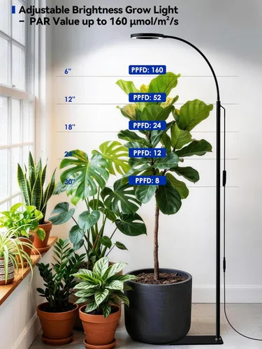Miniatura 7 de GLOWRIUM Luces de Crecimiento para Plantas de Interior, Lámpara de Pie LED de Espectro Completo con Soporte de Altura y Ángulo Ajustables, Luz