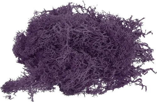 Miniatura 20 de MECCANIXITY Musgo artificial de musgo de 3.5 onzas, musgo artificial preservado natural para manualidades, manualidades, proyectos florales, Negro