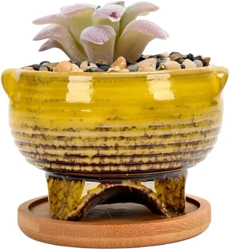 Miniatura 15 de Bonita maceta circular de cerámica para decoración del hogar y jardín, suculentas, cactus, maceta no incluida (azul, 3.19 pulgadas)