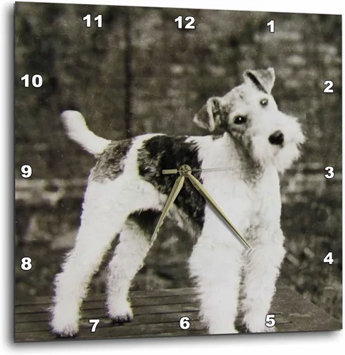 Reloj de pared 3D Rose Vintage Wire Hair Fox Terrier Dog Circa 1900 Edwardian Era 1900, 10" x 10"