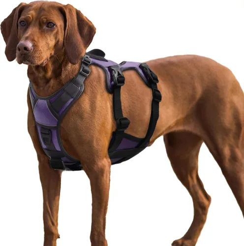 Miniatura 17 de AUROTH Arnés para perro a prueba de escape, chaleco ajustable reflectante acolchado suave con asa de elevación, tamaño mediano
