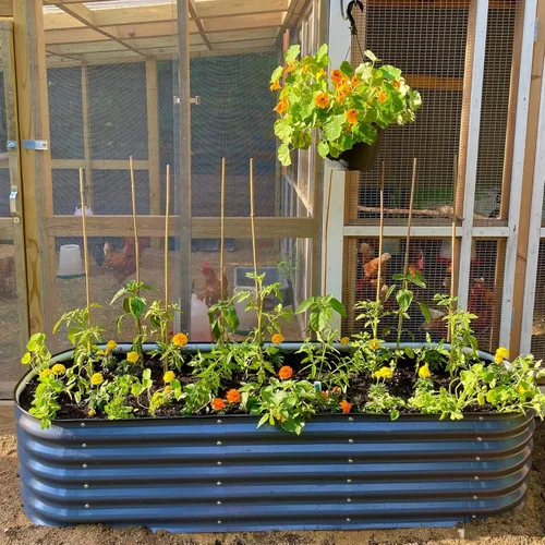 Miniatura 9 de Vego garden Aluzinc - Kit de cama elevada para jardín, 17 pulgadas de alto, 6 en 1, modular de metal para verduras, flores, patio, jardinera, caja