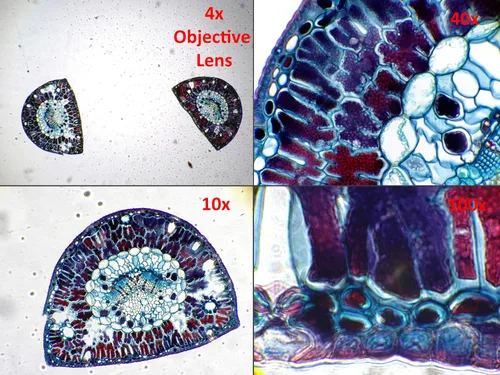 Miniatura 7 de Ocular Dino-Lite AM4025X, 1.3MP, para microscopio tradicional