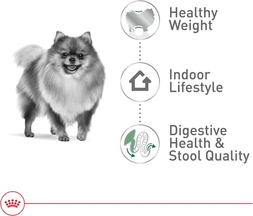 Miniatura 4 de Royal Canin Size Health Nutrition - Alimento seco para perros adultos de interior pequeño, bolsa de 2.5 libras