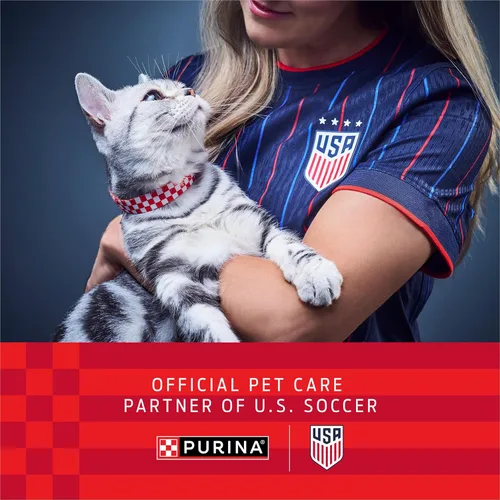 Miniatura 3 de Purina ONE Alimento seco natural para gatos, mezcla con pollo real, bolsa de 22 libras