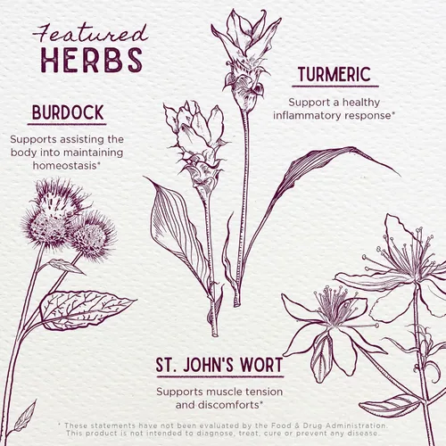 Miniatura 4 de WishGarden Herbs Deep Recovery - Suplemento natural de apoyo a base de hierbas, músculos, tejidos y articulaciones con curcumina de cúrcuma, aborda