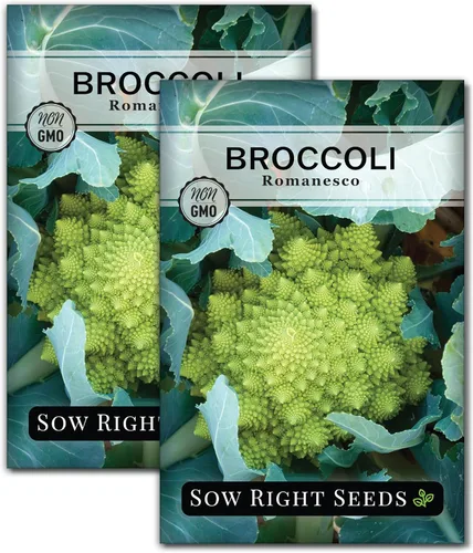 Miniatura 7 de Sow Right Seeds - Semillas de brócoli Romanesco para plantar - Paquete de reliquia sin OMG con instrucciones para plantar un huerto doméstico al