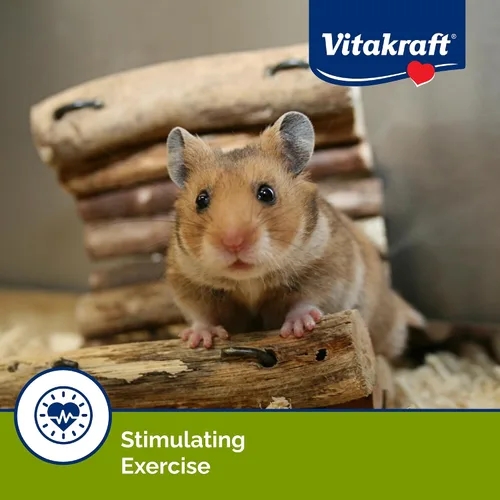 Miniatura 6 de Vitakraft Crunch Sticks Hamster Treats sabor manzana y miel, paquete de 2 palitos masticables crujientes saludables para hámsters y jerbos - Juguete