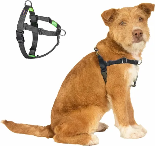 Freedom - Arnés para perro sin tirones, fácil de caminar, deja de tirar con dos anillos en D de acero inoxidable, cómodo, etiquetas de instrucciones