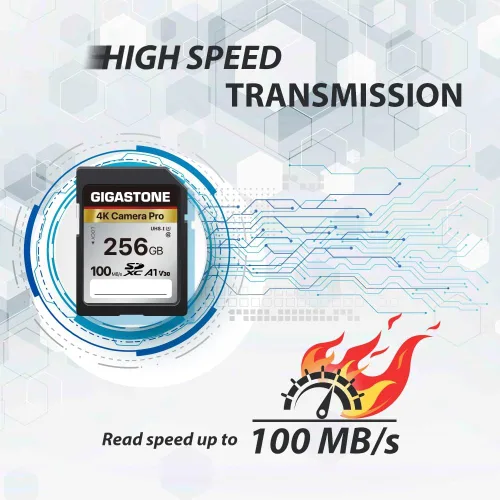 Miniatura 6 de Recuperación de datos de 5 años: tarjeta SD GIGASTONE de 256 GB, cámara 4K Pro, tarjeta de memoria A1 V30 SDXC 4K UHD Video compatible con cámara