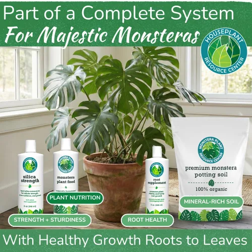Miniatura 6 de Monstera Plant Food - Fertilizante líquido rico en nutrientes de primera calidad (5-2-3 NPK) para Monstera Deliciosa y otras plantas tropicales