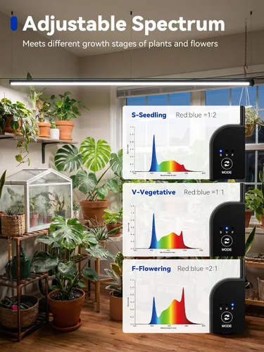 Miniatura 2 de GLOWRIUM Luces de cultivo para plantas de interior, luces de cultivo de plantas verticales de 36W con temporizador automático, luz de cultivo LED