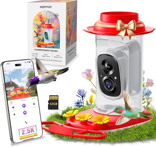 Miniatura 9 de Comedero de colibríes de 2.5K con cámara, comedero inteligente inalámbrico sin suscripción para pájaros para exteriores, cámara AI para ver video