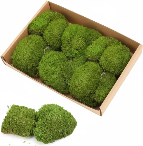 Miniatura 8 de TCYPUHL Cojín de musgo preservado verde oscuro de 1 pies cuadrados para plantas, manualidades de interior, arte de pared, bricolaje, terrarios