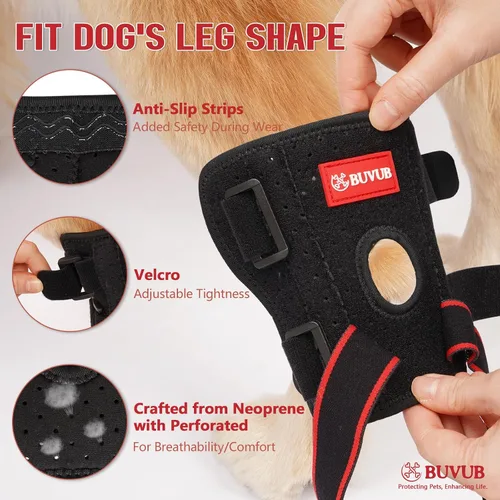 Miniatura 3 de Soporte de hockey para perro para pierna trasera, tiras de resorte de metal integradas para esguinces, artritis, lesiones de ligamentos