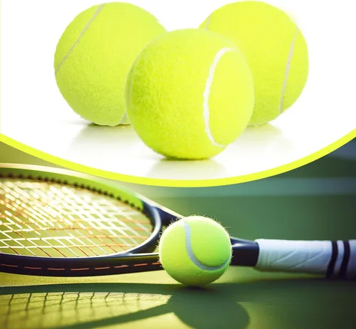 Miniatura 8 de Juego de 12/18 pelotas de tenis para entrenamiento, juego para perros y práctica con bolsa de malla para transporte y entrenamiento