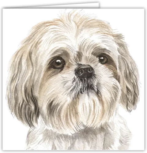Miniatura 3 de Maturi Shih Tzu Dog - Tarjeta fotográfica de felicitación de cumpleaños en blanco, 6 x 6 pulgadas, cuadrada