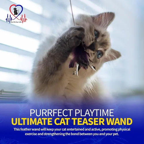 Miniatura 6 de Pet Fit For Life Juguetes de varita de plumas para gatos, juguete interactivo para mascotas de interior, 2 accesorios de plumas, promueve la salud