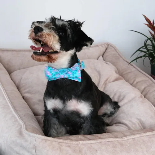 Miniatura 5 de ARING PET Collar de perro flamenco, collar de algodón para perro con lazo, ajustable para verano, collares para perros con hebilla de metal A
