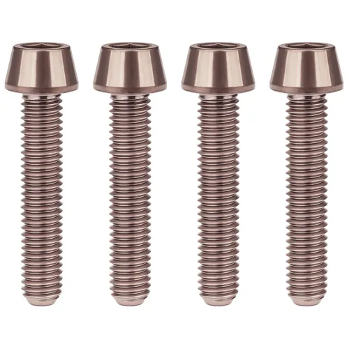 Miniatura 62 de Titanio Ti M6 x 10 16 18 20 25 30 35 40 45 50 55 60 2.559 in Allen - Tornillos hexagonales de 2.559 in, tornillos cónicos, paquete de 4