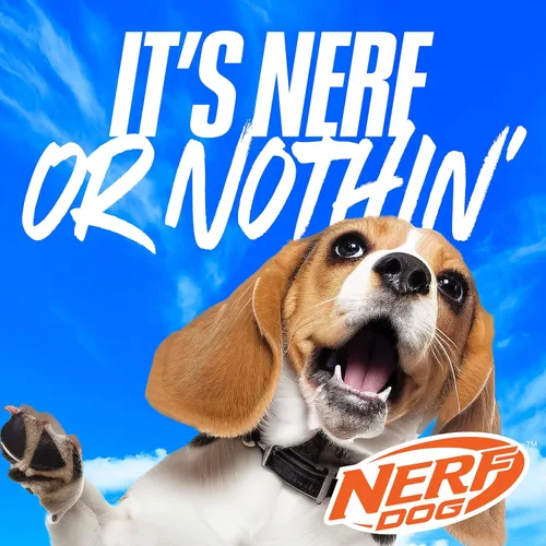 Miniatura 8 de Nerf - Juguete de pelota de tenis para perro, ideal para pescar, recarga manos libres, lanza hasta 50 pies, pelotas incluidas, varios tamaños