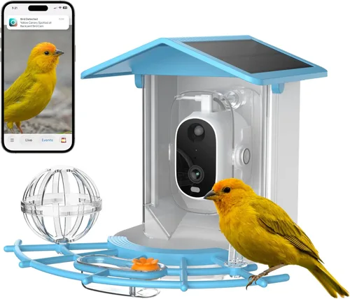 Luna - Comedero inteligente para pájaros con cámara, identificación mejorada de especies de pájaros con inteligencia artificial, video HD 2K,