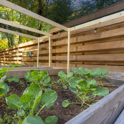 Miniatura 3 de Coolaroo Tela de sombra de jardín con 50% de bloqueo UV para plantas, tela transpirable resistente al desgarro para invernaderos, plántulas y Negro