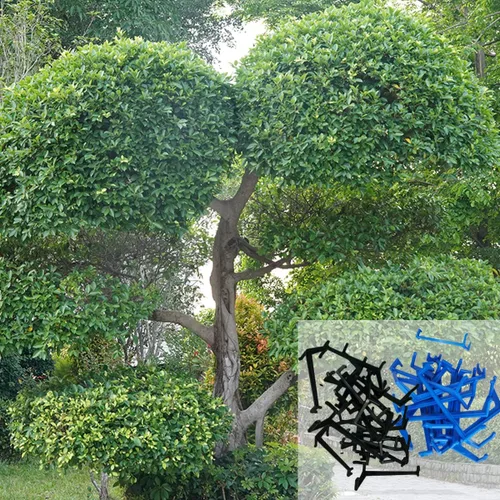 Miniatura 4 de Esparcidores de ramas para árboles frutales Esparcidor de ramas de manzano para apoyar nuevas ramas, plástico negro, 15 piezas y azul 15 piezas